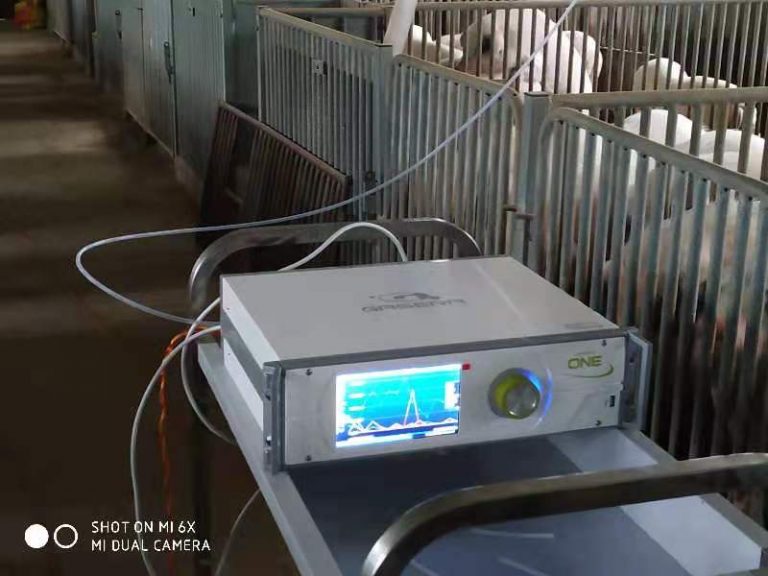 GASERA ONE PULSE đo lượng phát thải khí nhà kính trong chăn nuôi lợn.