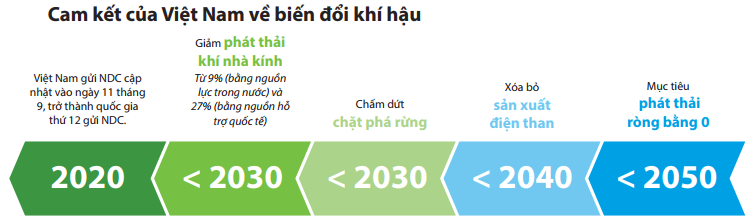 Lộ Trình Giảm Phát Thải Khí Nhà Kính hướng tới Net Zero